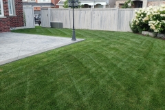 Ryan's Landscaping Lawn Care 5