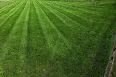 Ryan's Landscaping Lawn Care 9