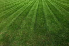 Ryan's Landscaping Lawn Care 10