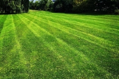 Ryan's Landscaping Lawn Care 2