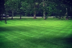 Ryan's Landscaping Lawn Care 1