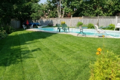 RyanLawnPool
