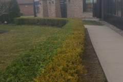 SpringYardClean