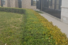 SpringYardClean2