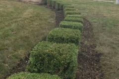 SpringYardClean3