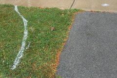 Ryans-Landscaping-Stone-Work-78
